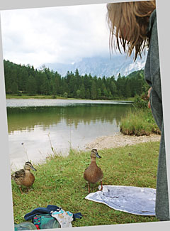Quackquackquack am Ferchensee